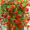 30" UV Resistant Artificial Daisy Hanging Bushes, 6ct.